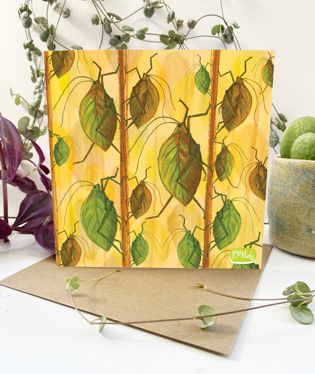 Katydid Card for Bug, Insect, Creepy Crawly Lovers - Greeting Card ...