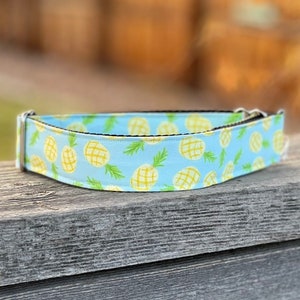 The Pina Colada Dog Collar ~ Pineapple Dog Collar ~ Bright Dog Collar ~ Pretty Dog Collar ~ Fabric Dog Collar ~ Fruit Dog Collar