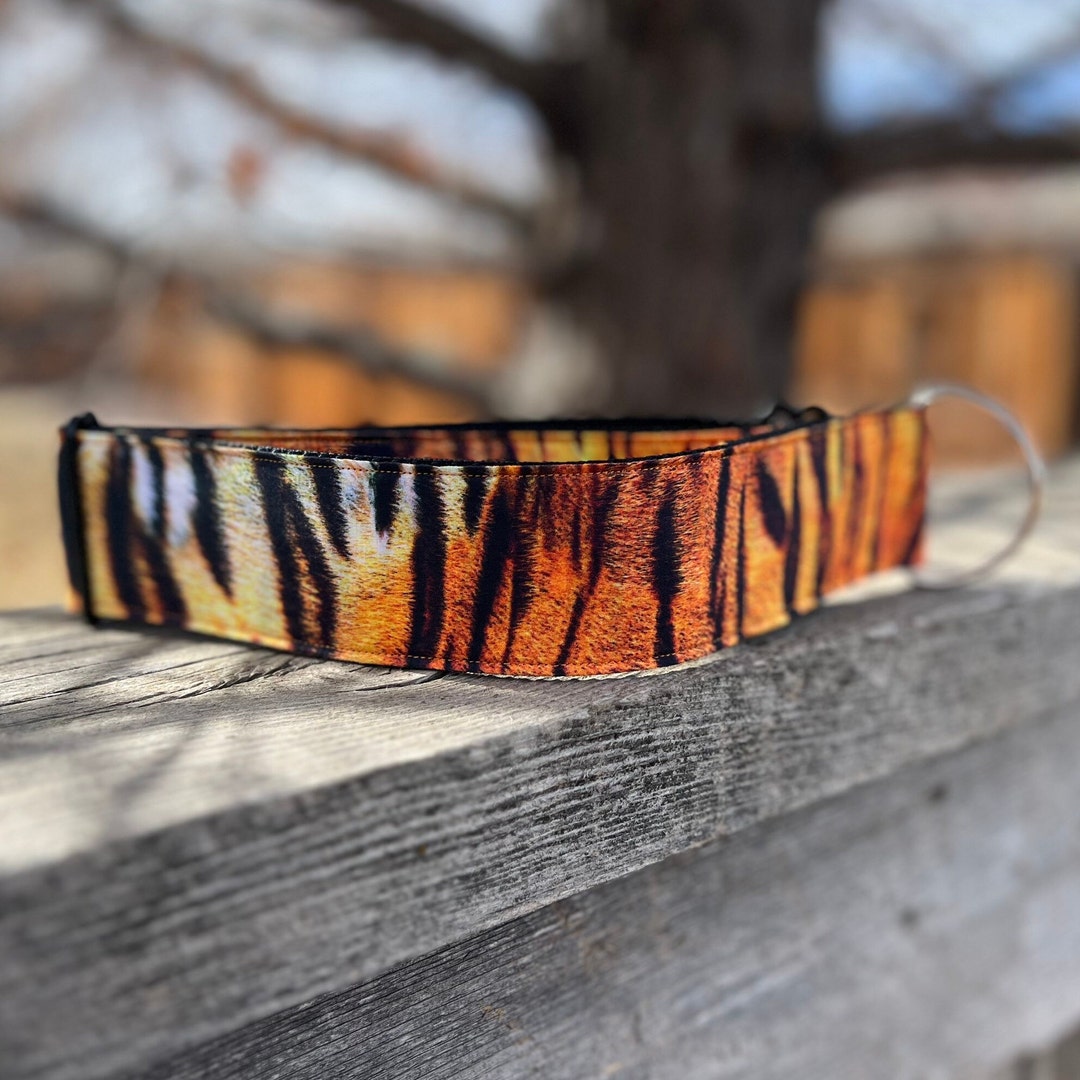 The Tiger Lily Dog Collar Tiger Dog Collar Animal Print Dog Collar
