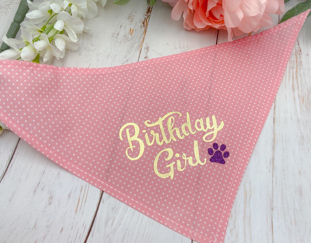 Bandana pour chien personnalisé Fille danniversaire Accessoire pour