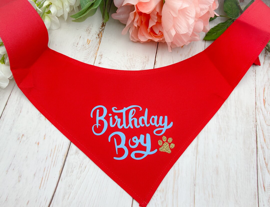 Custom Dog Bandana Birthday Boy Dog Accessory Etsy.de