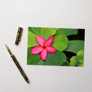 Ansichtkaart, muurposter roze frangipanibloem, roze groene poster, Thailand print, muurprint, wanddecoratie, 4 x 6, bloemenprint