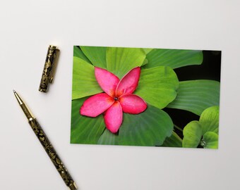 Postcard, Pink frangipani Flower Wall Poster, Pink Green Poster, Thailand Print, Wall Print, Wall Decor, 4x6, Flower Print