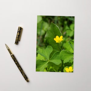 Carte postale, renoncule, imprimé floral, décoration d'intérieur, décoration murale, oeuvre d'art pour le bureau, art mural, impression vert jaune