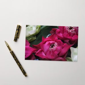 Carte postale, fleur de lotus rose, impression de Thaïlande, impression murale, décoration murale, 4 x 6, impression de fleurs, cadeau de voyage, cadeau d'écriture