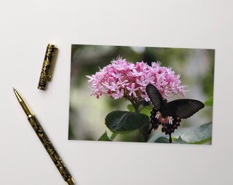Postcard, Beautiful Black Butterfly, Pink Flower, Wall Art, Wall Decor, Floral Print, 4x6, Butterfly Art, Office Print
