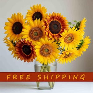 May include: A bouquet of sunflowers in a clear glass vase. The sunflowers have bright yellow petals and dark brown centers. Some sunflowers have reddish-brown centers. The vase is filled with water. The background is a light gray.