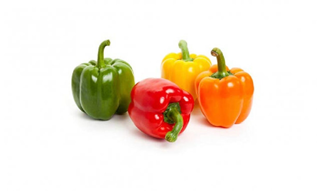 Bell Pepper Seed Mix Red Yellow Orange and Green 25 Seeds Etsy