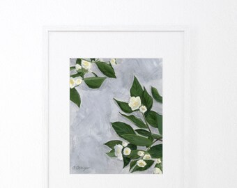 Giclée Art Print of "Mock Orange Study No. 1" - Acrylic Botanical Painting