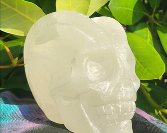 May include: A translucent, off-white skull sculpture with detailed facial features, including eye sockets, a nose cavity, and teeth. The skull is set against a backdrop of green leaves and a dark fabric.