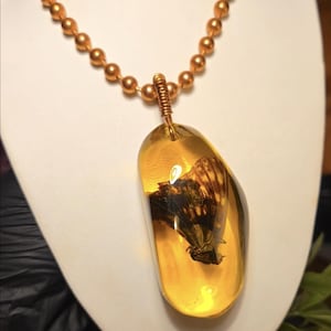 May include: A gold-colored necklace with a pendant. The pendant is a large, amber-colored stone with a preserved insect inside. The necklace has a beaded chain and a clasp. The pendant is approximately 2 inches long.