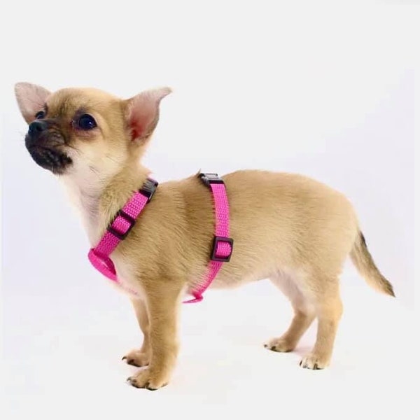 Mini harness Katilene puppy harness GENIAL puppy dog harness for small dogs