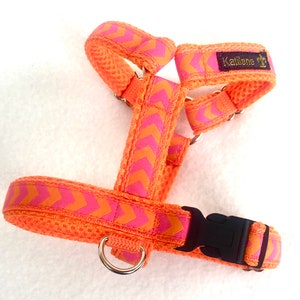 Dog harness Katilene Ypsi-Comfort CRAZYCOLORS for small dogs