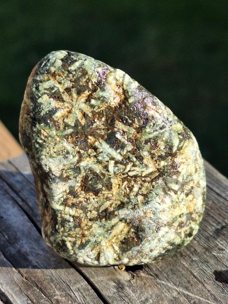 Bc Rocks B.C. Flowerstone ( Porphyry Jasper) - Etsy