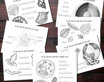 Cycle 1 Classical Conversations Science coloring worksheets, memory work, writing practice, download, homeschool, education