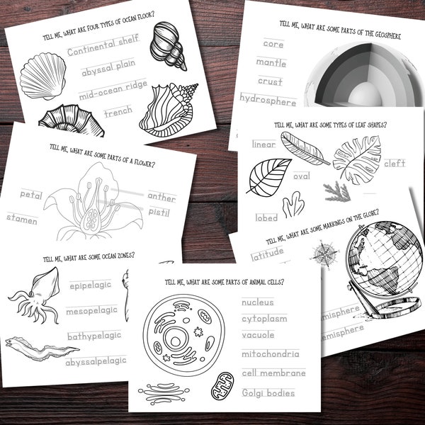 Cycle 1 Classical Conversations Science coloring worksheets, memory work, writing practice, download, homeschool, education