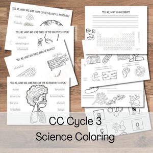 Puede incluir: Un juego de tres tazas de cerámica con un acabado mate moteado. Las tazas son en tonos crema, gris claro y gris oscuro. Cada taza tiene un diseño simple y minimalista y un asa redondeada.