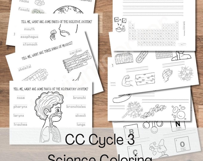 Classical Conversations Cycle 3 Science Worksheets: Coloring & Writing ...
