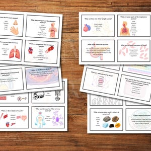 May include: A collection of educational flashcards on a wooden surface. The cards feature diagrams and text explaining various scientific concepts, including the human body, atoms, and earth's history. The cards are white with black text and colorful illustrations.