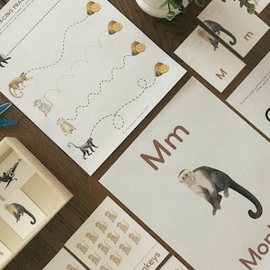 以下が含まれることがあります： サルのイラストが描かれたトレース練習シート、文字Mが書かれた粘土用マット、サルが描かれた小さなカードを含む教育用アクティビティセット。白い紙に印刷されたテキストとグラフィック、そして青いハサミが含まれています。