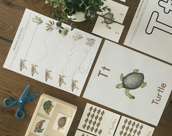 T is for Turtle Preschool Activities | Letter T Preschool Unit | Homeschool Unit | Early Learning