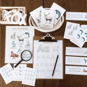 Peut inclure: Ensemble éducatif sur les animaux arctiques. Comprend des cartes, une boîte en bois avec le mot "FOX", une loupe, des feuilles d'exercices d'écriture et des cartes de nombres. L'ensemble présente des illustrations d'ours polaires, de caribous et d'autres animaux arctiques.