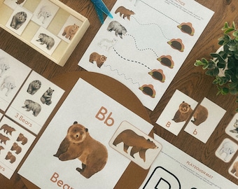 B is for Bear Preschool Activities | Letter B Preschool Unit | Homeschool Unit | Montessori Activities | ABC Activities for Early Learning