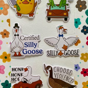 Silly Goose - Paquete de pegatinas seleccionadas (6 pegatinas)