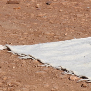 Kilim Moroccan Rug, Custom kilim woven rug, Berber Area Rug, Flat-weave Zanafi Hanbel Carpet,Mother's Day. image 8