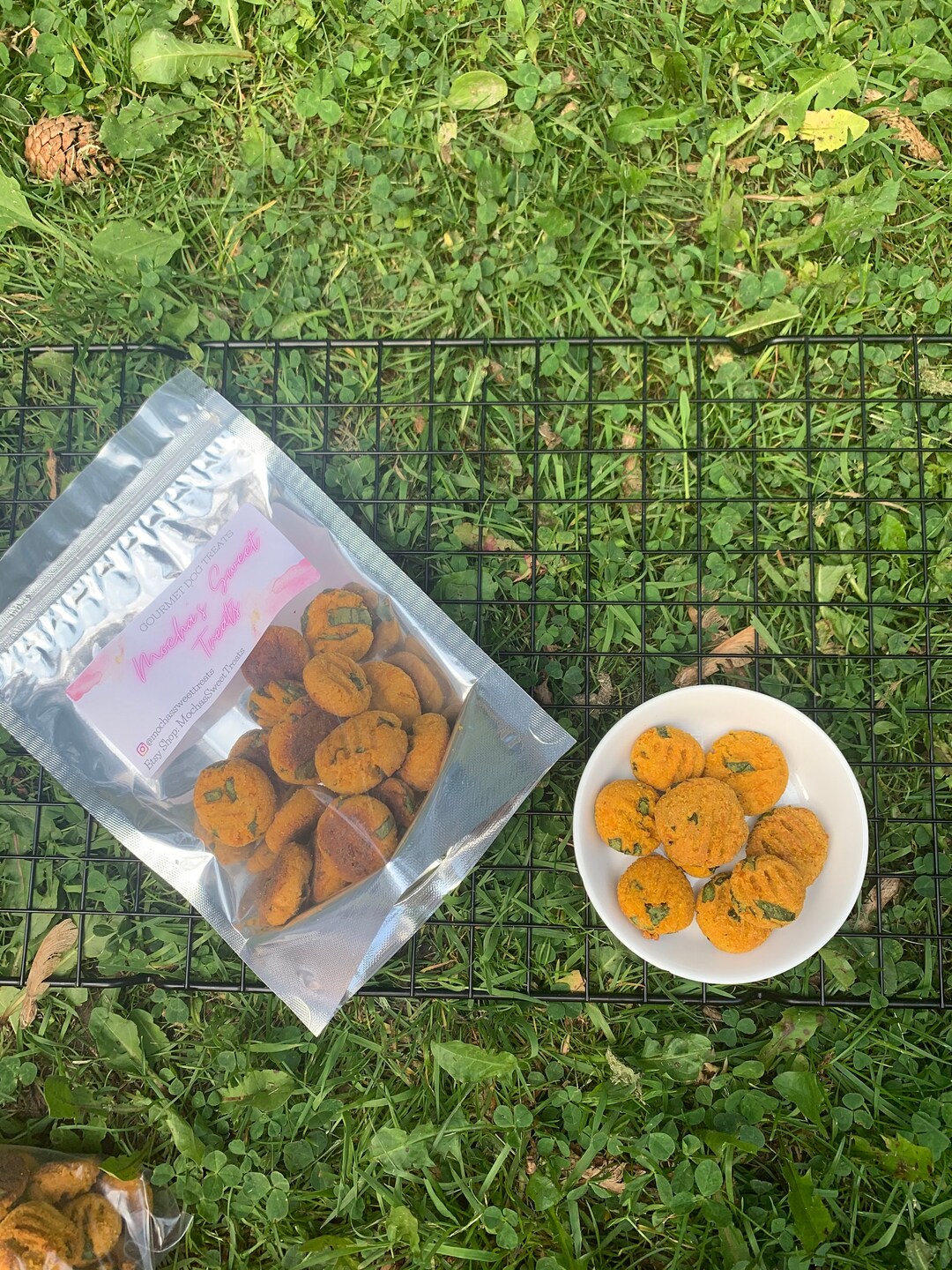 Grain Free Spinach and Carrot Dog Treat Handmade Gourmet Dog Treats