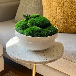 Moss Centerpiece Large | Pole Moss | Preserved Moss Gift | Ceramic Centrepiece Bowl | Green Moss | Wedding Centrepiece Decor