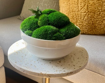 Preserved Pole Moss Centerpiece: Ceramic Bowl, Green Moss Decor | USA ORDERS - Tariffs/Duties Prepaid
