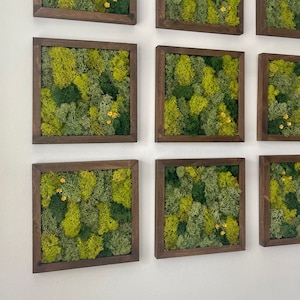 Op de afbeelding: Een wandkunstinstallatie met negen vierkante ingelijste stukken van geconserveerd mos in tinten groen met kleine gele bloemen. De frames zijn van donkerbruin hout.