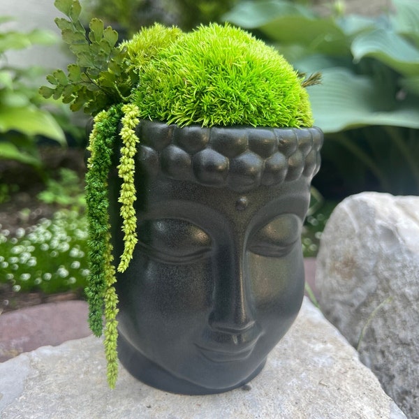 Moss Centerpiece Buddha Bowl | Pole Moss | Preserved Fern | Ceramic Centrepiece Bowl | Gift | Wedding Centrepiece
