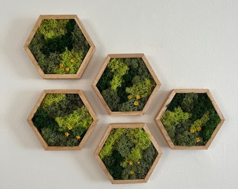 Honeycomb Moss Wall Art | Preserved Reindeer Moss, Wood Hexagon | No Tariffs on USA Orders