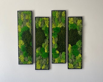 Moss Wall Art | Preserved Moss Art Framed | Moss Wall Decor | Moss Wall Sets | Rectangle Single to Six Set | Green Reindeer Moss Pole Moss