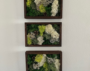 Moss Wall Art | Preserved Moss Art Framed | Rectangle  | Green and Beige