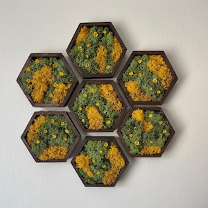 Moss Wall Art  | Honeycomb Moss Single to Set of Twelve |  Home Decor | Wood Hexagon | Green Yellow Preserved Flowers | Mothers Day Gift