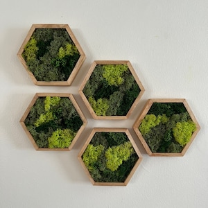 Moos Wandkunst | Moos Art Decor | Sets von 5 "x 6 ", 8 " x 9 "", 10 "" x 11,5 "" oder 12 ""x 13 3/4"" | Rentier, Blatt Moosgrün | Holz Sechseck | Geschenk
