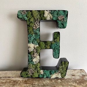 Letras de musgo para pared / Arte de musgo para pared / Letras personalizadas / Letreros personalizados de musgo / Arte de musgo preservado para pared