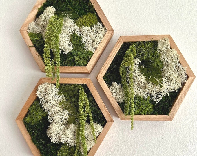 Moss Wall Art Honeycomb | Five Sizes, 5" x 6", 8" x 9", 10" x 11 1/2", 12" x 13 3/4" or 14" x 16" | Wood Hexagon |