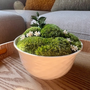 May include: A white ceramic bowl filled with green moss and white flowers. The bowl is sitting on a wooden surface.