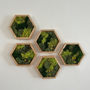Moss Wall Art | Honeycomb Moss | Four Sizes, 5 x 6&quot;, 8 x 9&quot;, 10 x 11.5&quot; or 12 x 13 3/4&quot; | Wood Hexagon | Reindeer Moss Green and Flowers