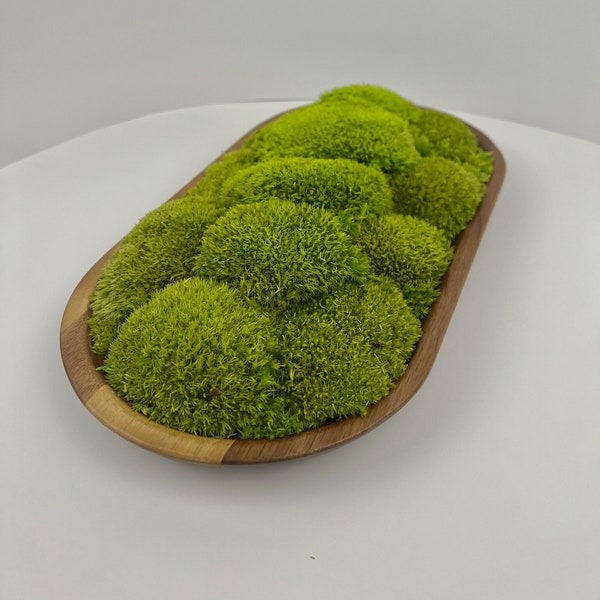 Moss Centerpiece | Pole Moss | Moss Planter | Preserved Moss Gift | Wood Nature Bowl | Green Pole Moss | Wedding Gift | Wedding Centerpieces