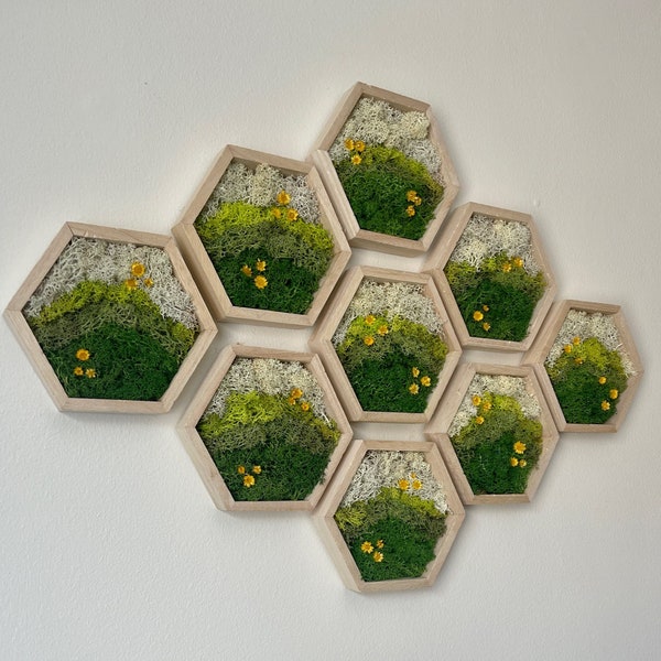 Moss Wall Art | Preserved Moss Decor | Single to Set of Twelve | Wood Hexagon Honeycomb | Mothers Day Gift