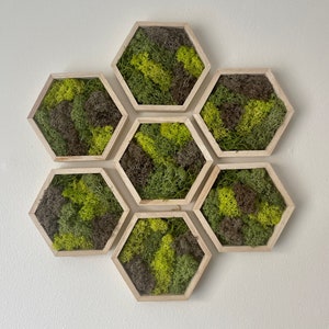 Moss Wall Art | Preserved Moss Wall Decor  | Single to Set of Twelve | Wood Hexagon  | Green and Brown Reindeer Moss | Mothers Day Gift