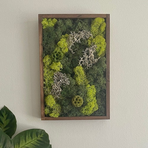 Moss Wall Green Wall Art Preserved Moss Moss Wall Art Etsy Canada