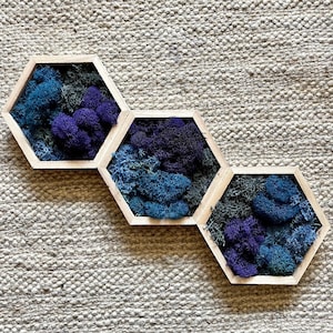 Moss Wall Art  | Honeycomb Moss   |  Home  Decor  | Wood Hexagon  | Blue and Purple