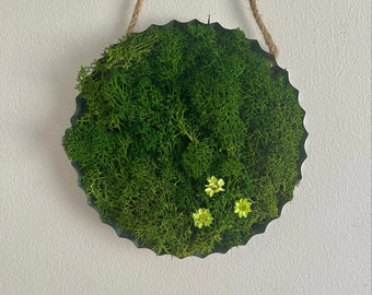 Preserved Reindeer Moss Wall Art | Round Metal Frame