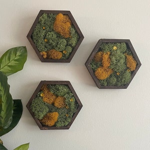 Moss Wall Art  | Honeycomb Preserved Moss Art  | Home Decor  | Wood Hexagon | Green and Mustard - Preserved Flowers